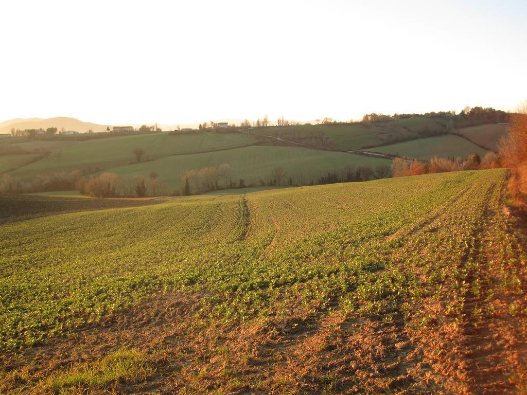 La Pietra Rara B&B Montone  Buitenkant foto