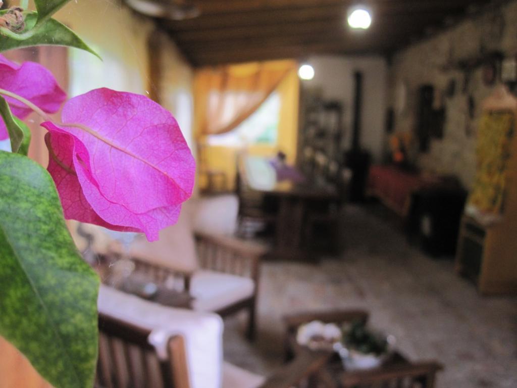 La Pietra Rara B&B Montone  Buitenkant foto
