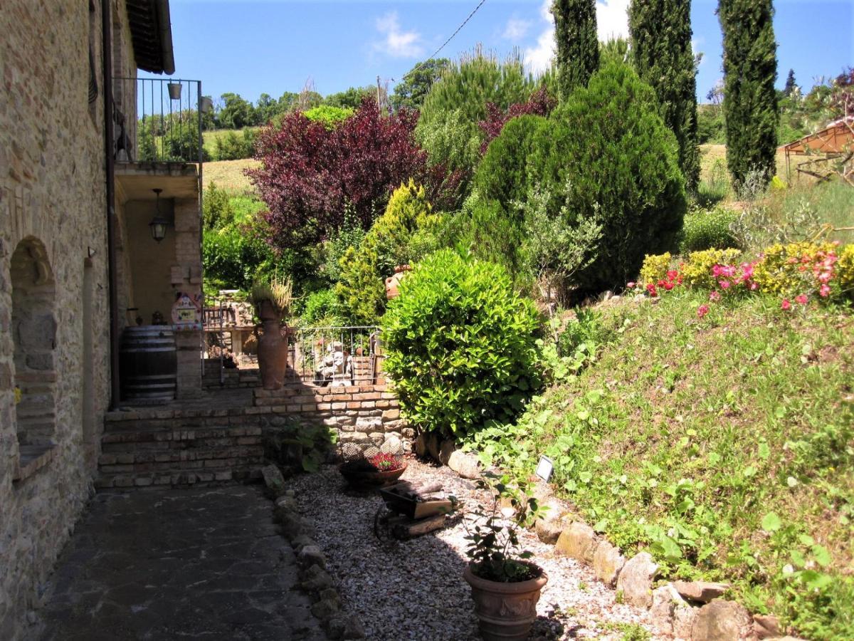 La Pietra Rara B&B Montone  Buitenkant foto