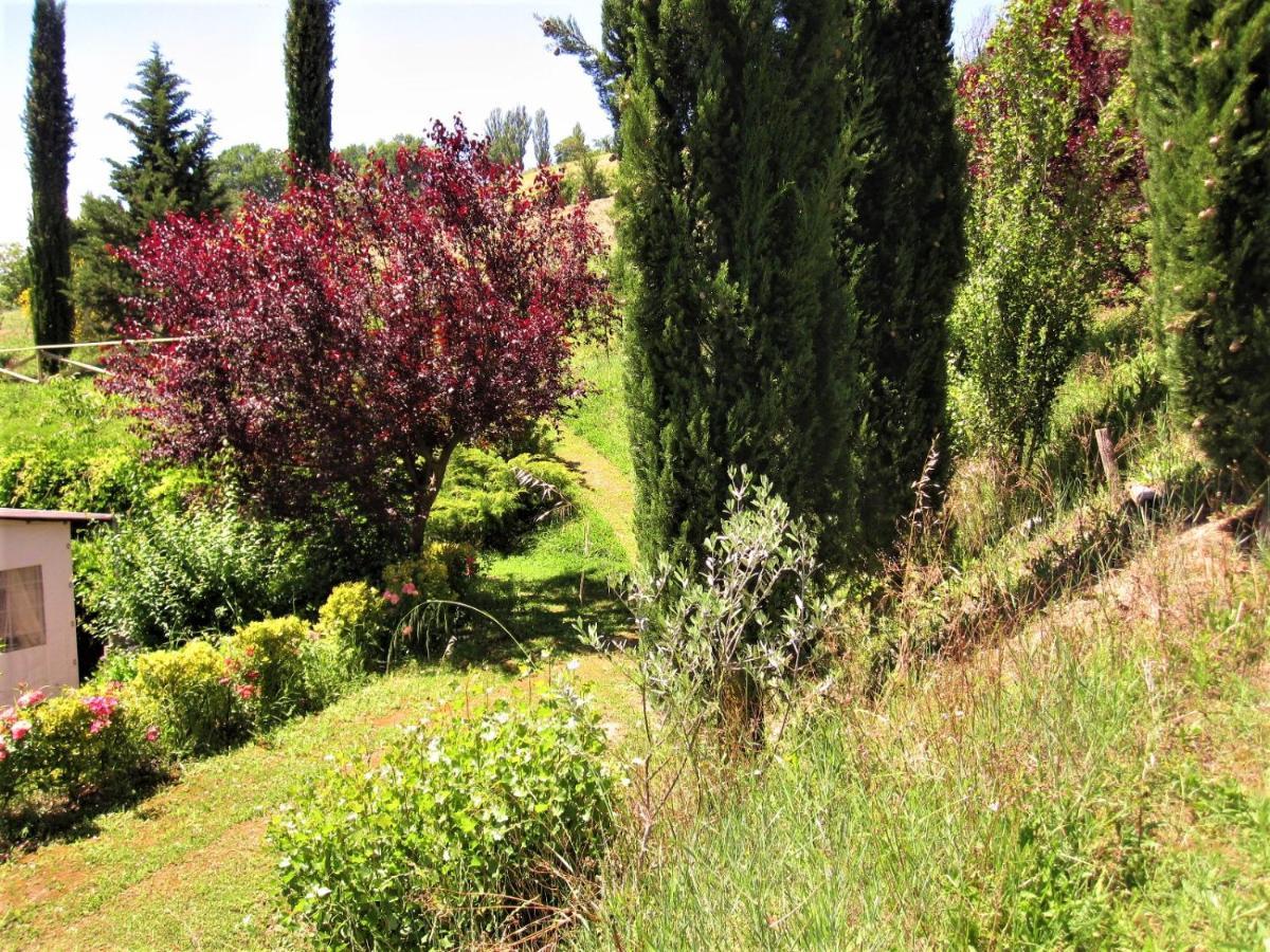 La Pietra Rara B&B Montone  Buitenkant foto