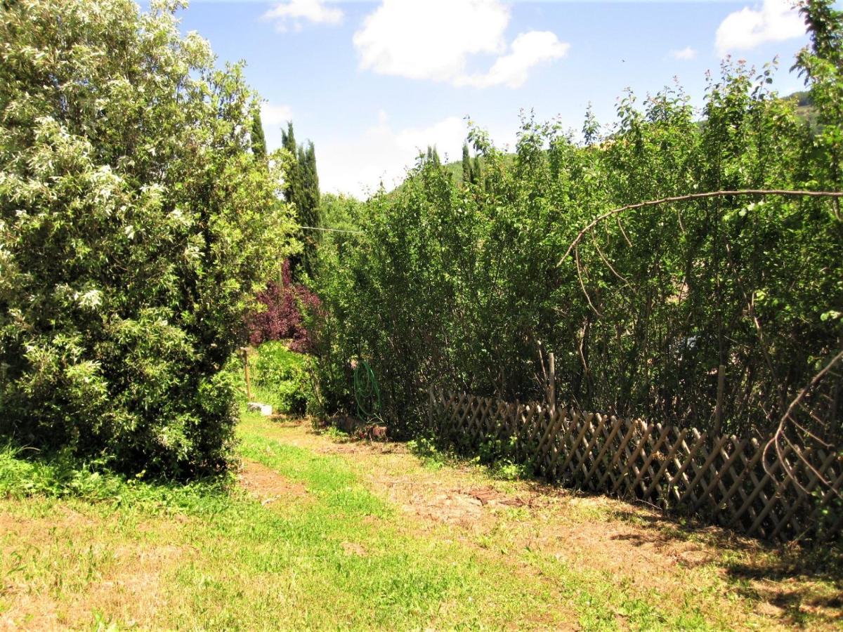 La Pietra Rara B&B Montone  Buitenkant foto