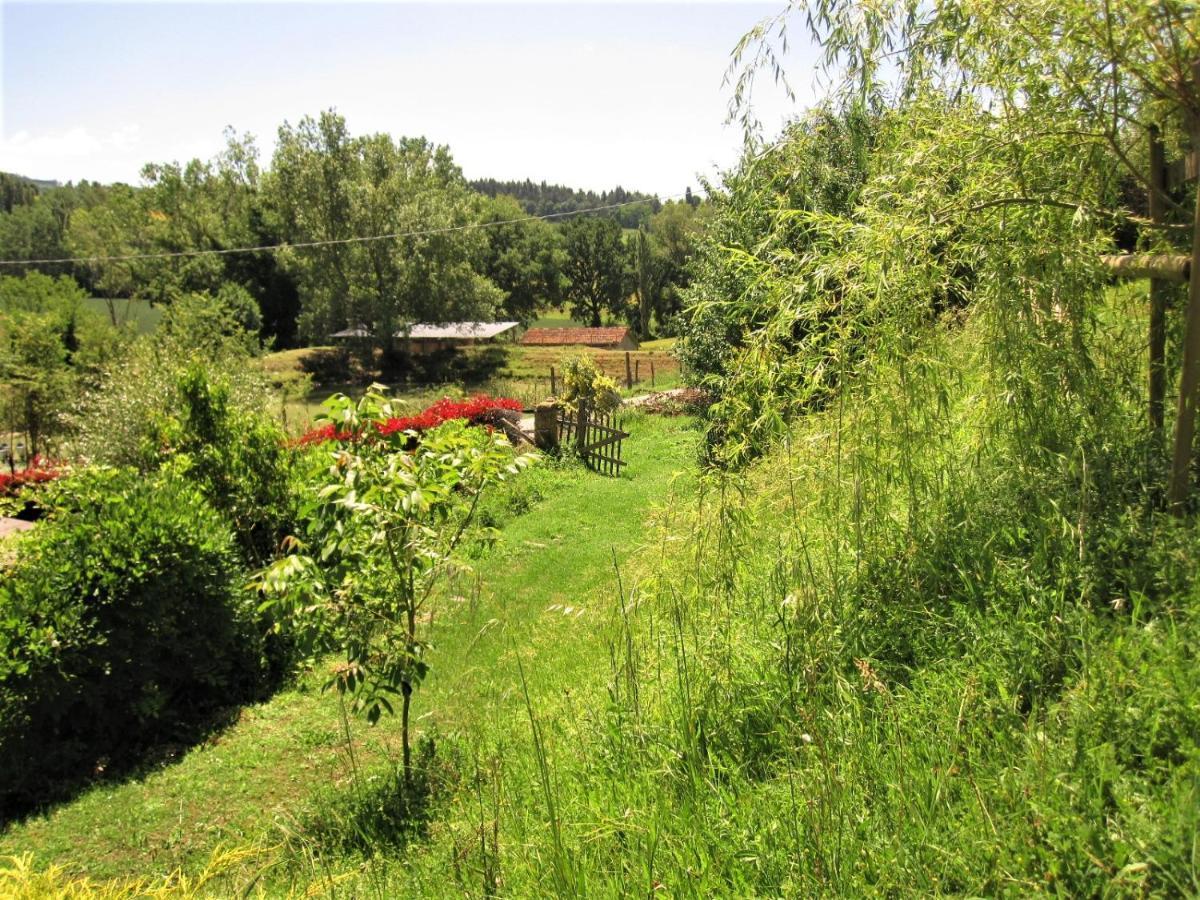La Pietra Rara B&B Montone  Buitenkant foto