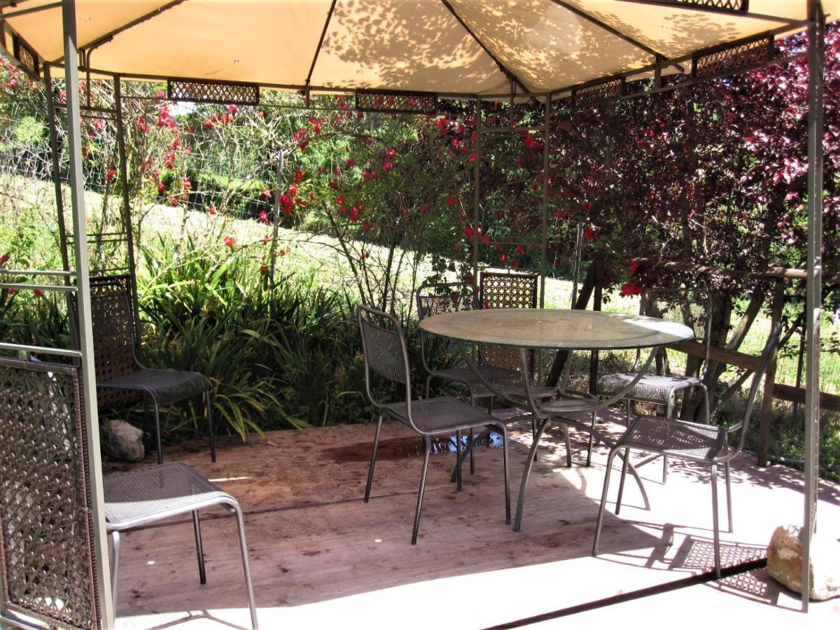 La Pietra Rara B&B Montone  Buitenkant foto