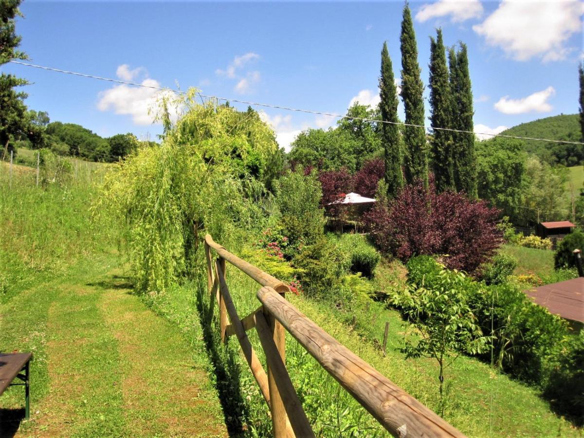 La Pietra Rara B&B Montone  Buitenkant foto