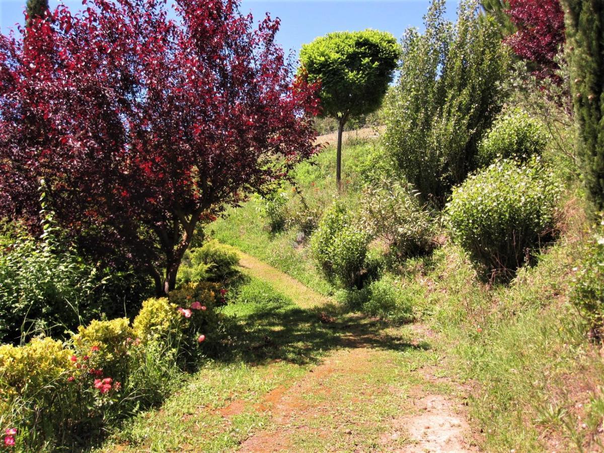 La Pietra Rara B&B Montone  Buitenkant foto