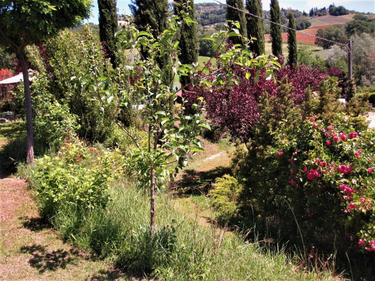 La Pietra Rara B&B Montone  Buitenkant foto