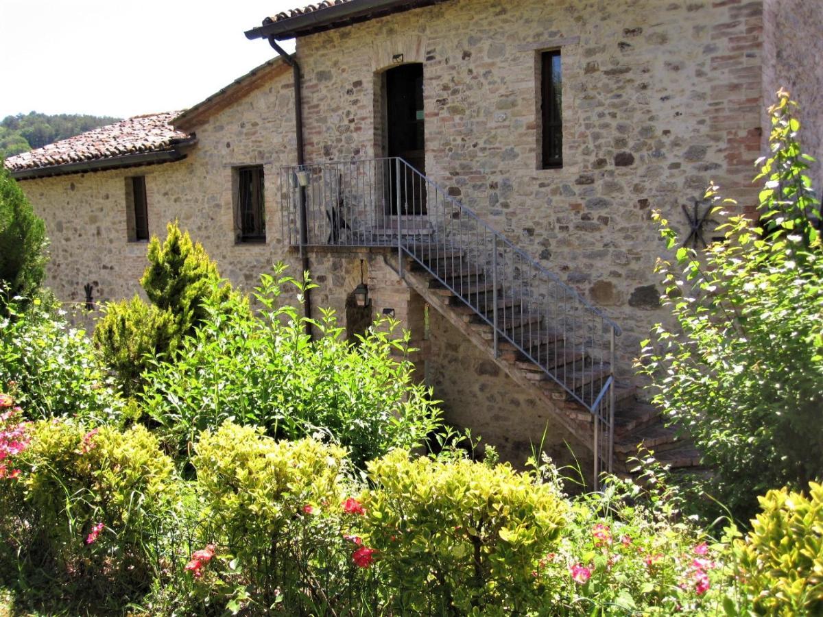 La Pietra Rara B&B Montone  Buitenkant foto