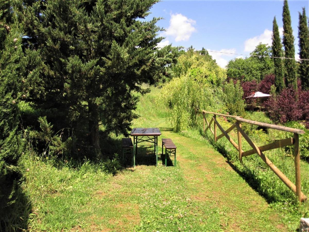 La Pietra Rara B&B Montone  Buitenkant foto