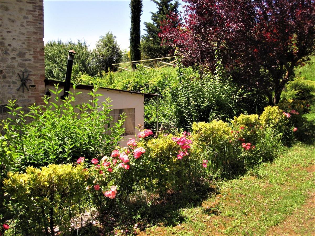 La Pietra Rara B&B Montone  Buitenkant foto