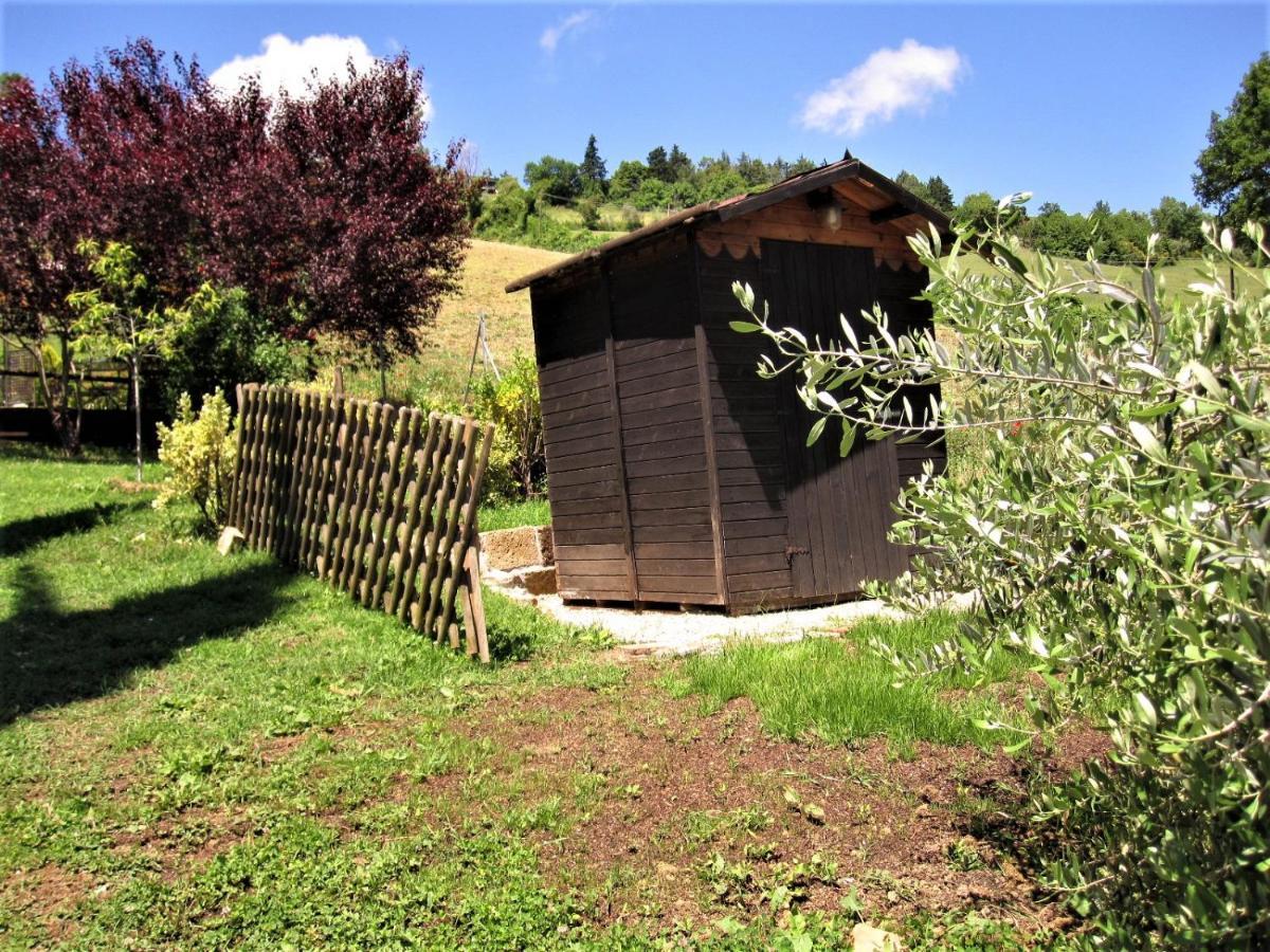 La Pietra Rara B&B Montone  Buitenkant foto