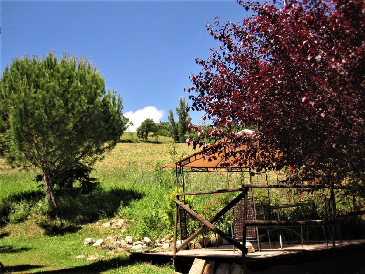 La Pietra Rara B&B Montone  Buitenkant foto