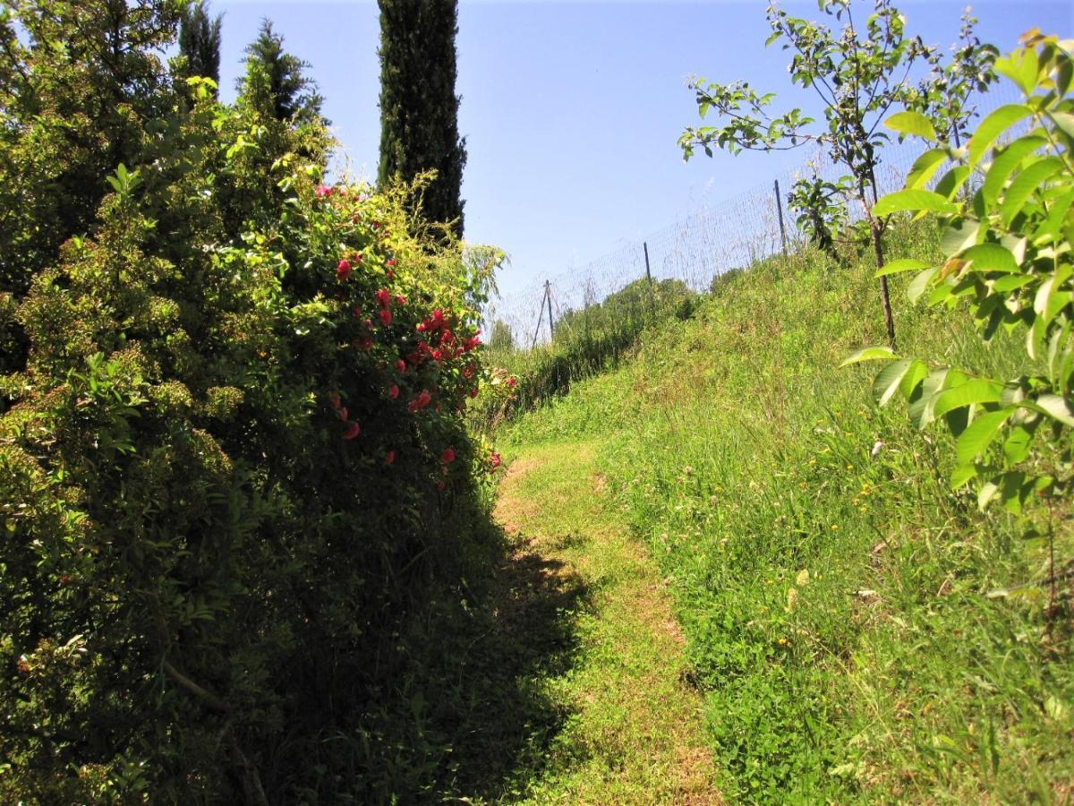 La Pietra Rara B&B Montone  Buitenkant foto