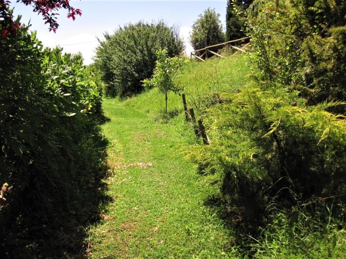 La Pietra Rara B&B Montone  Buitenkant foto